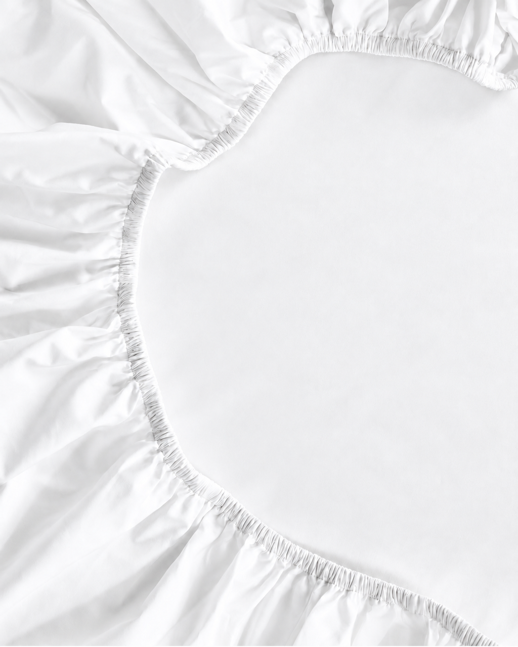 White | Back