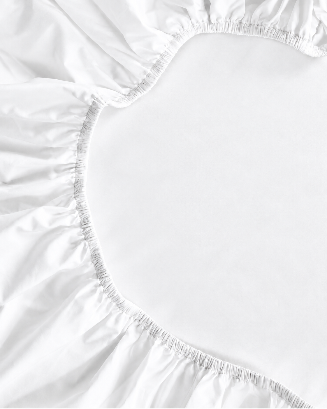 White | Back