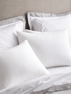 Premium Organic Goose Down Pillow